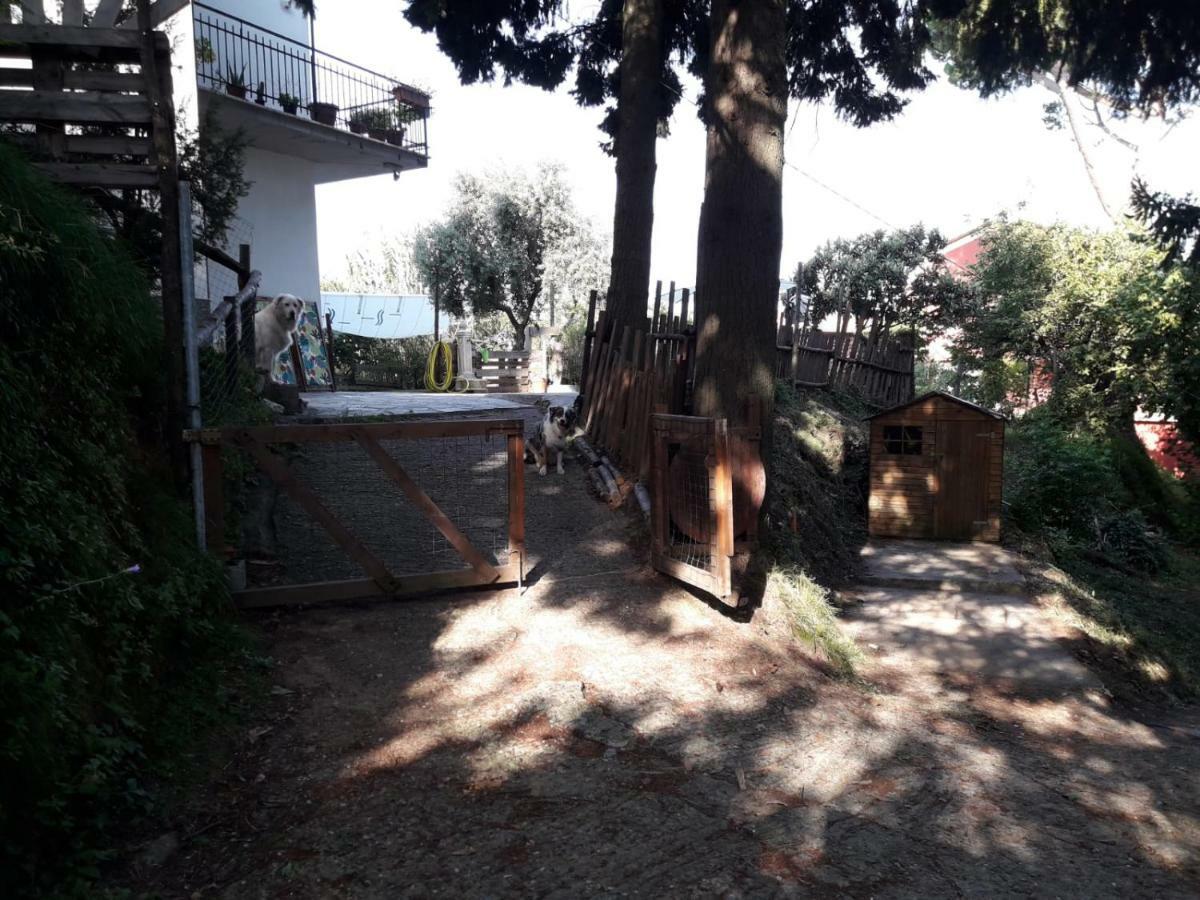 ホテル Il Giardino Del Nespolo アルコラ エクステリア 写真