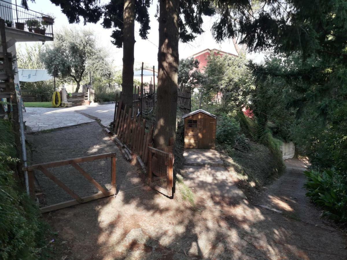 ホテル Il Giardino Del Nespolo アルコラ エクステリア 写真